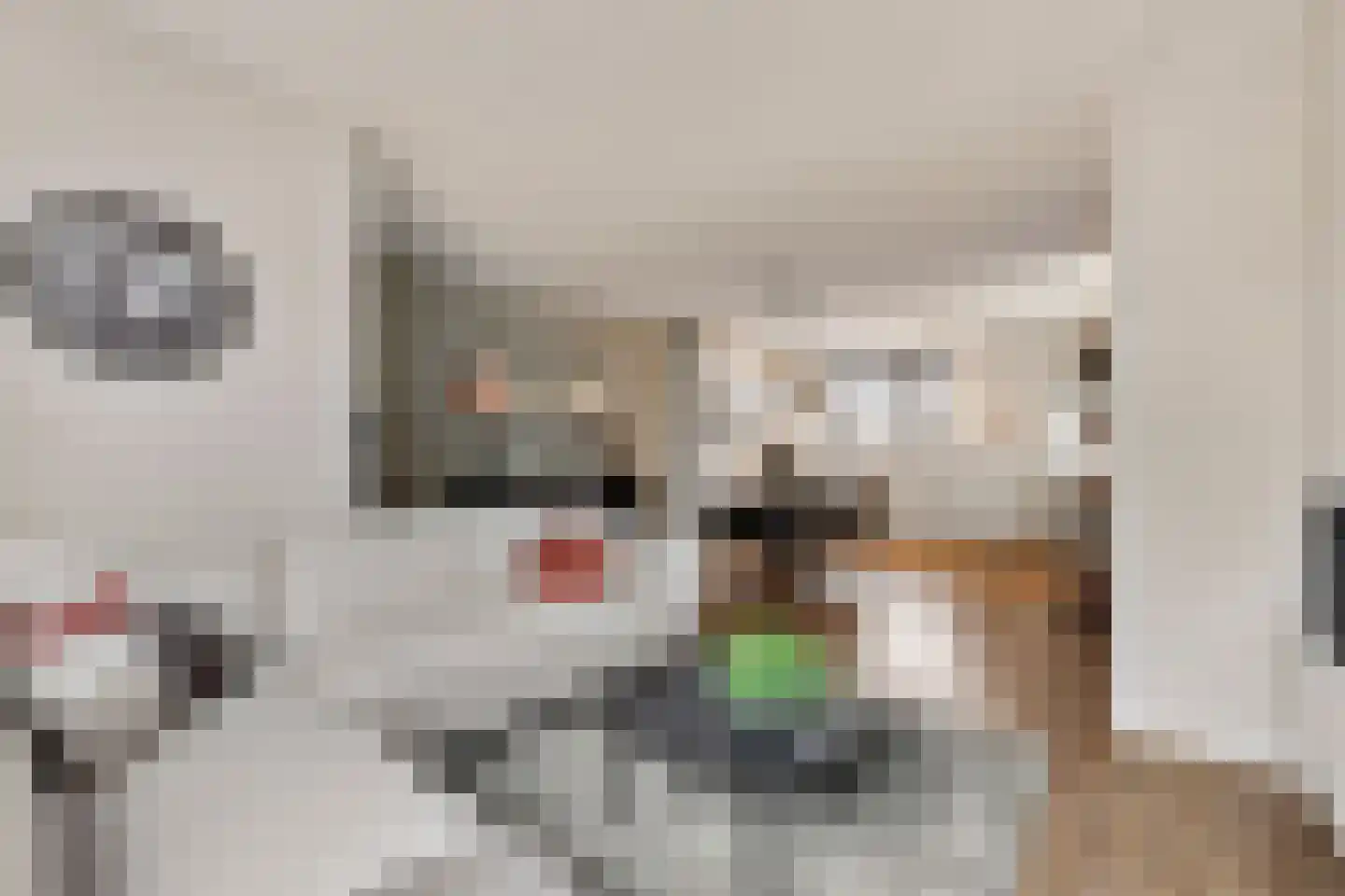 de Lijsterbes 2 Didam thumbnail 4