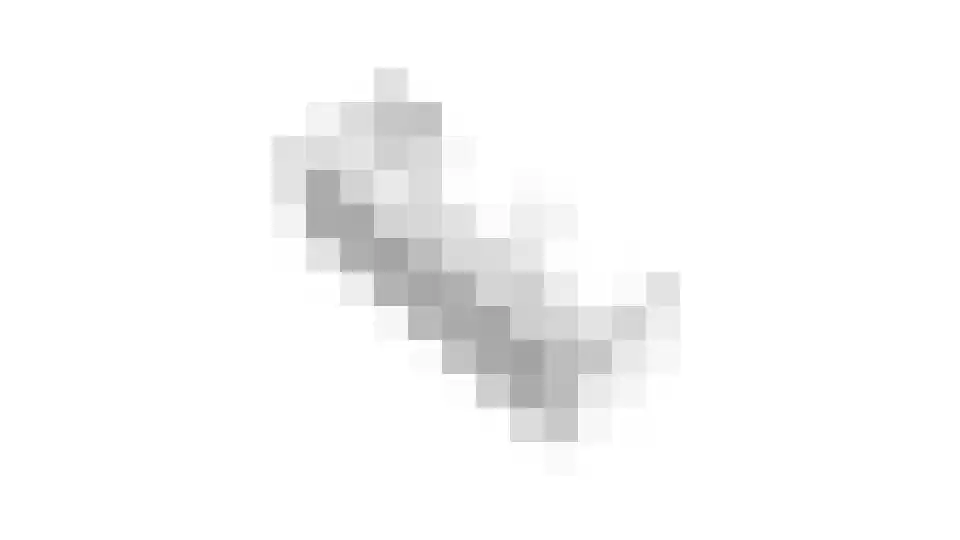 de Lijsterbes 2 Didam thumbnail 43