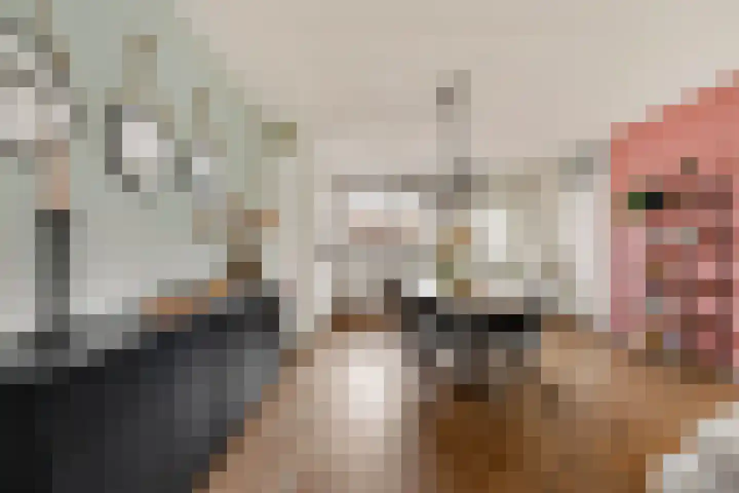 de Lijsterbes 2 Didam thumbnail 5