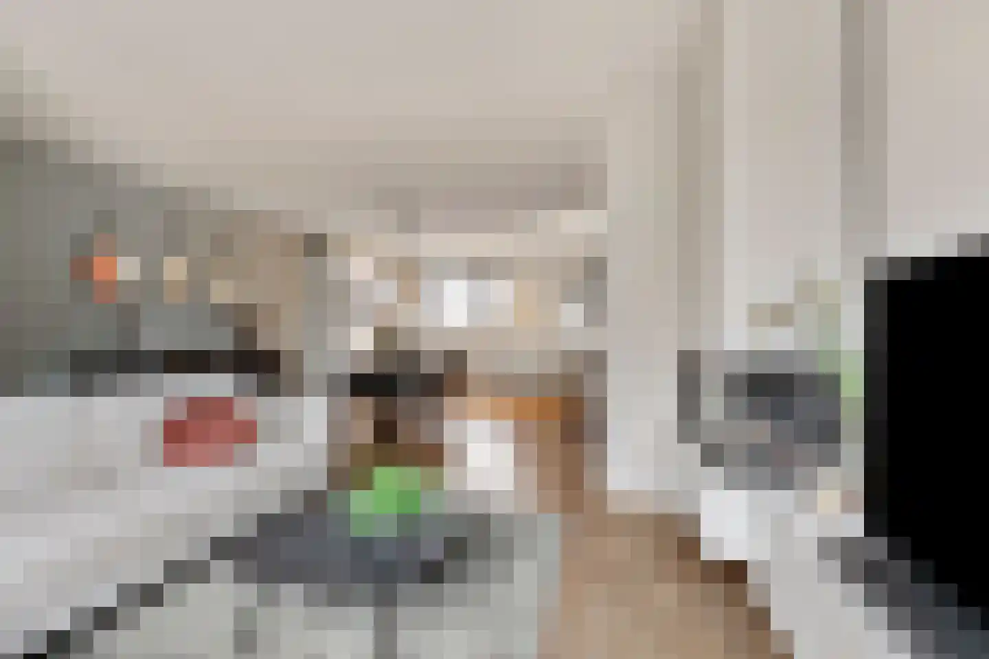 de Lijsterbes 2 Didam thumbnail 6