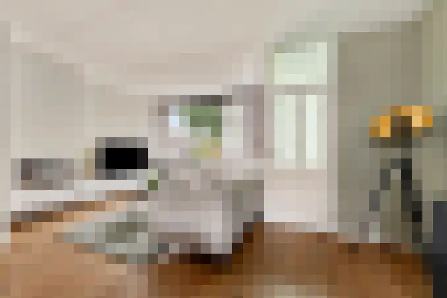 de Lijsterbes 2 Didam thumbnail 7