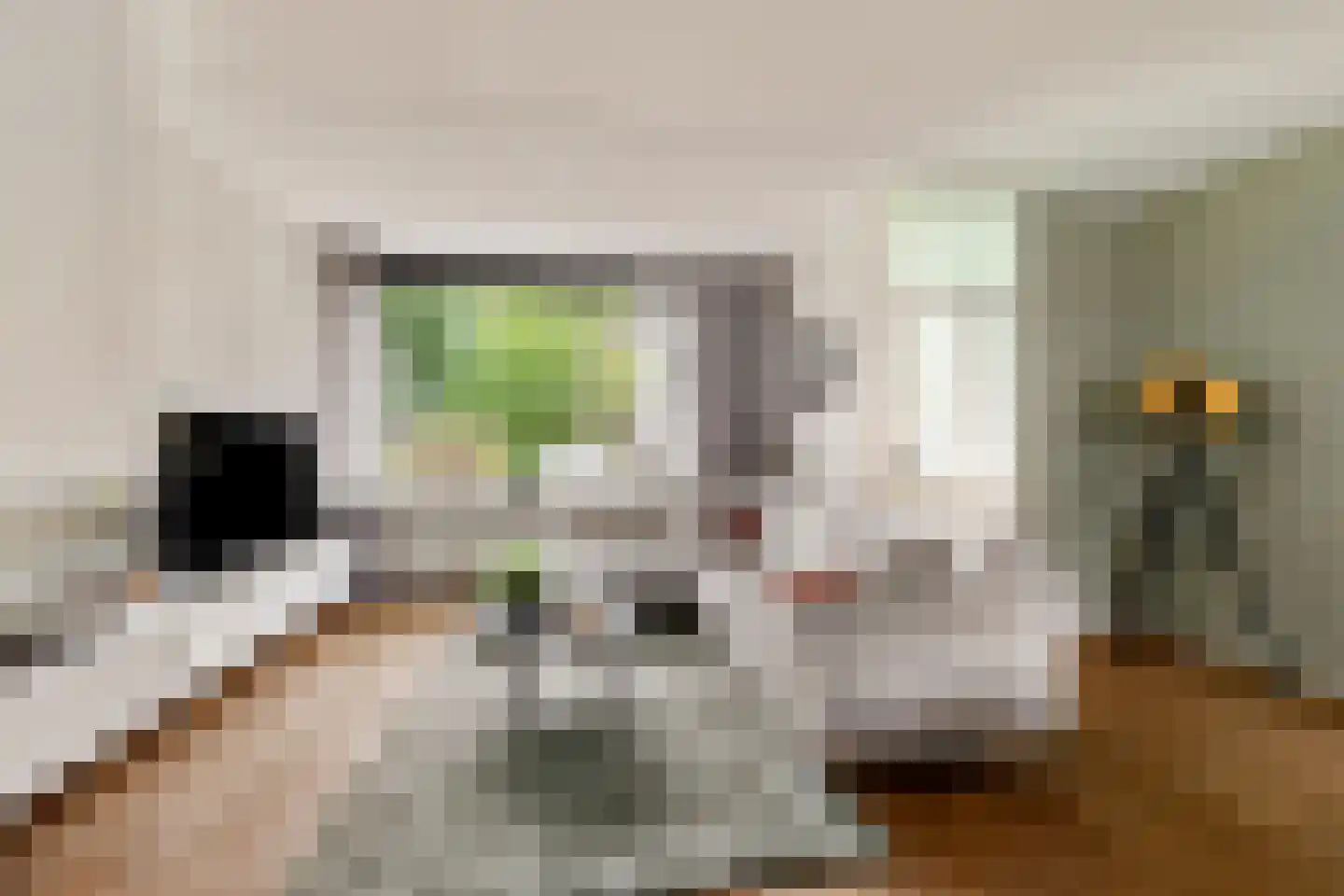 de Lijsterbes 2 Didam thumbnail 8
