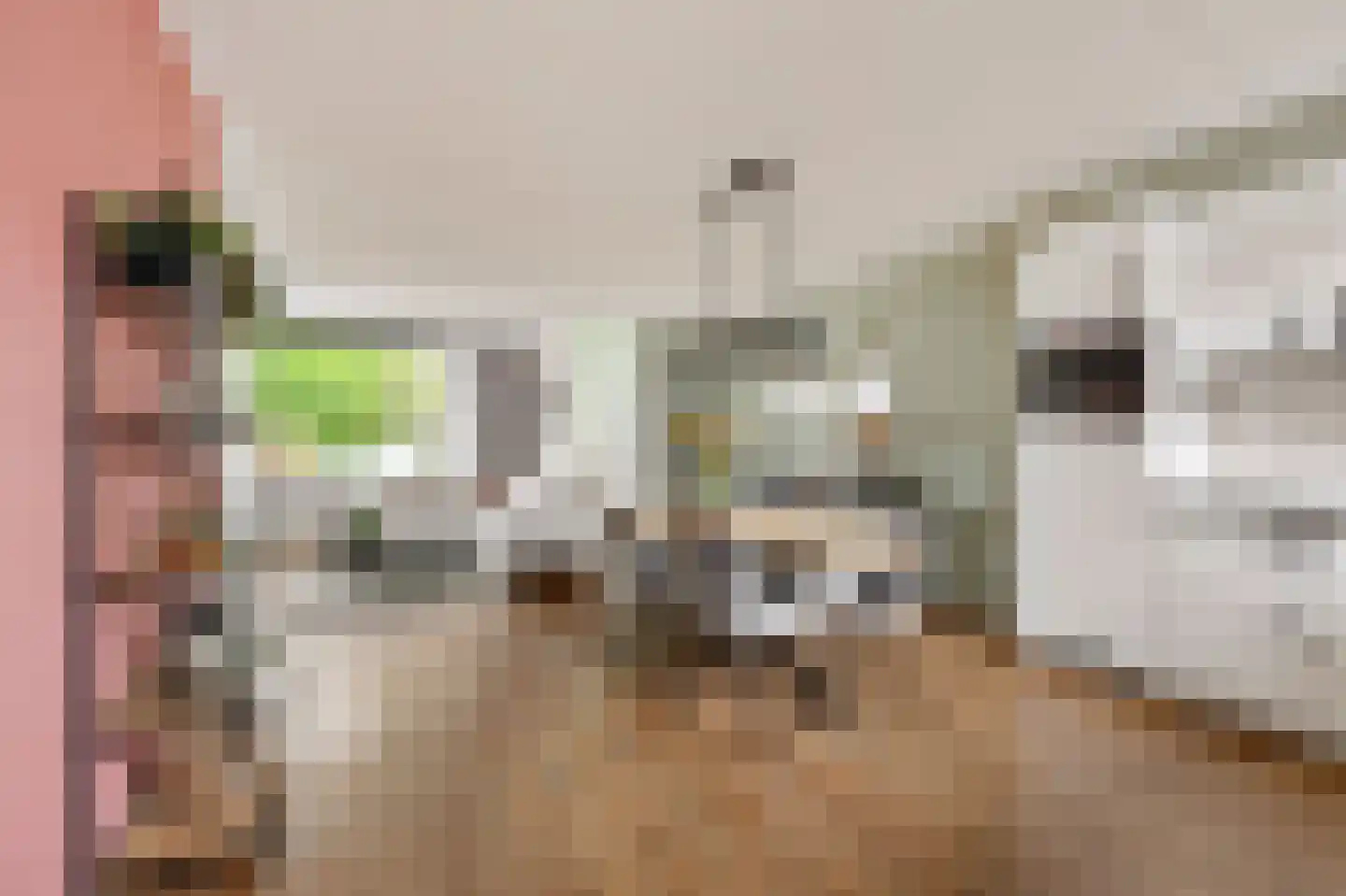 de Lijsterbes 2 Didam thumbnail 9