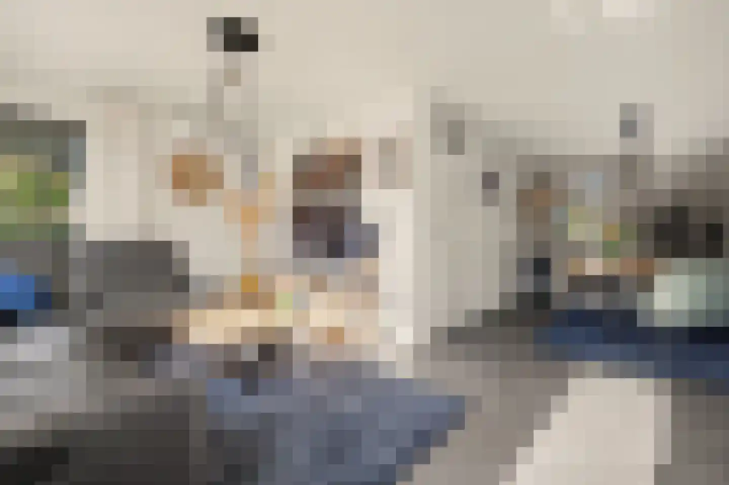 de Lijsterbes 47 Didam thumbnail 10
