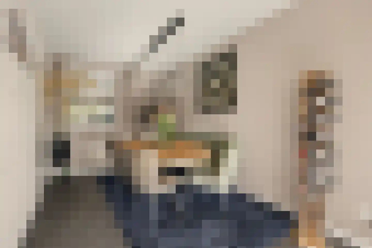 de Lijsterbes 47 Didam thumbnail 11