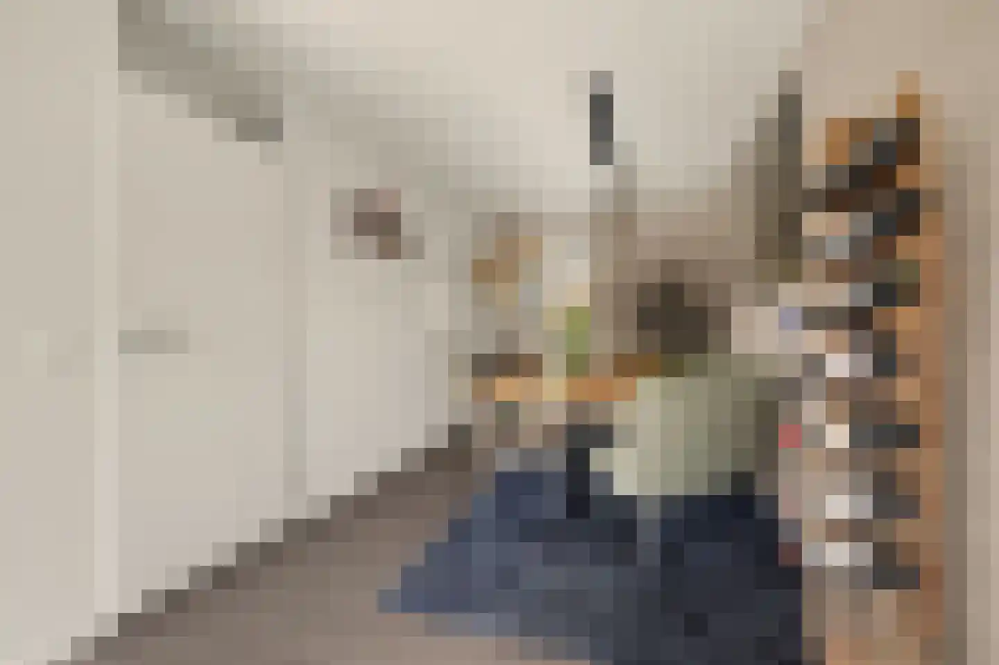 de Lijsterbes 47 Didam thumbnail 13