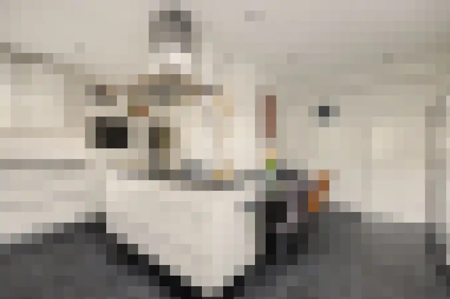 de Lijsterbes 47 Didam thumbnail 15