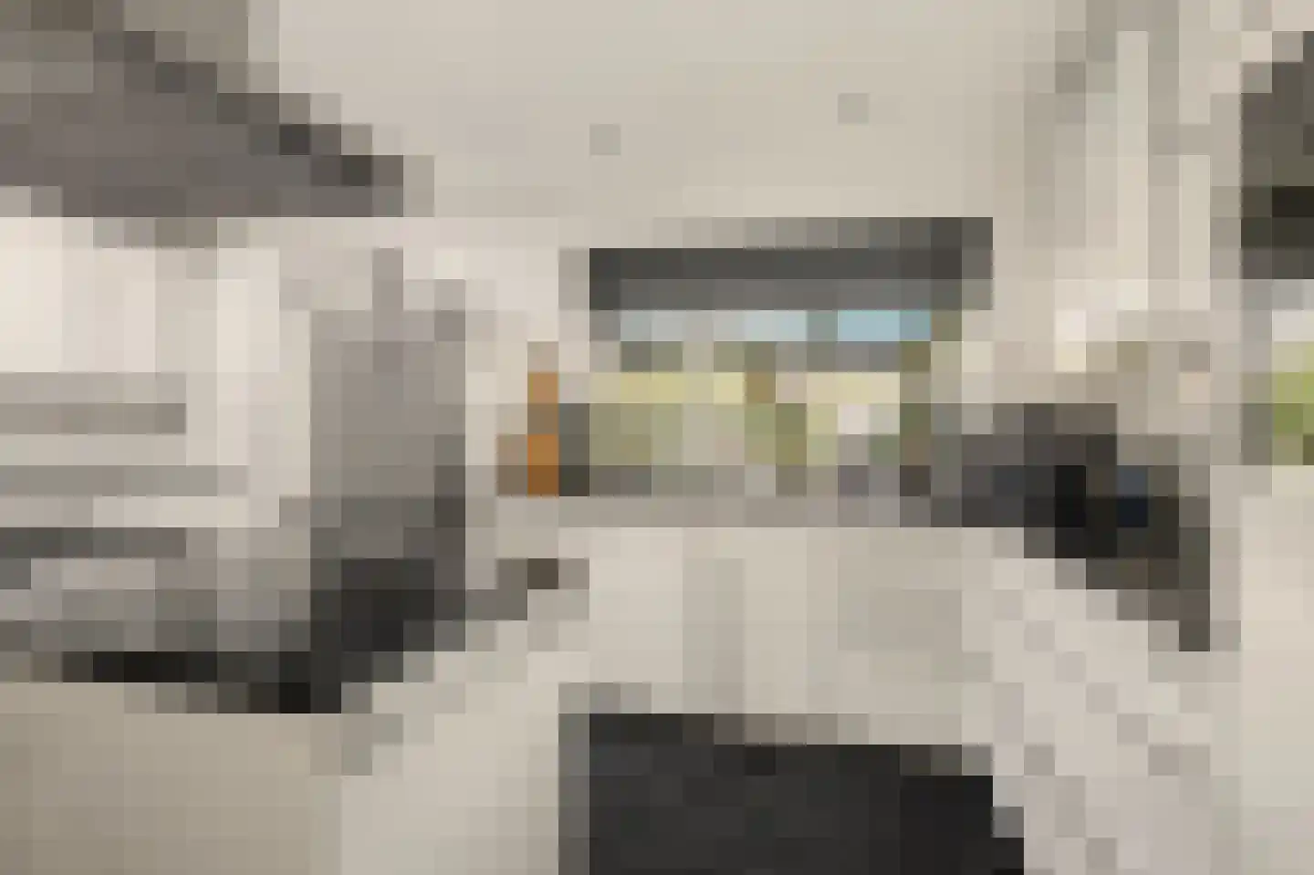 de Lijsterbes 47 Didam thumbnail 16