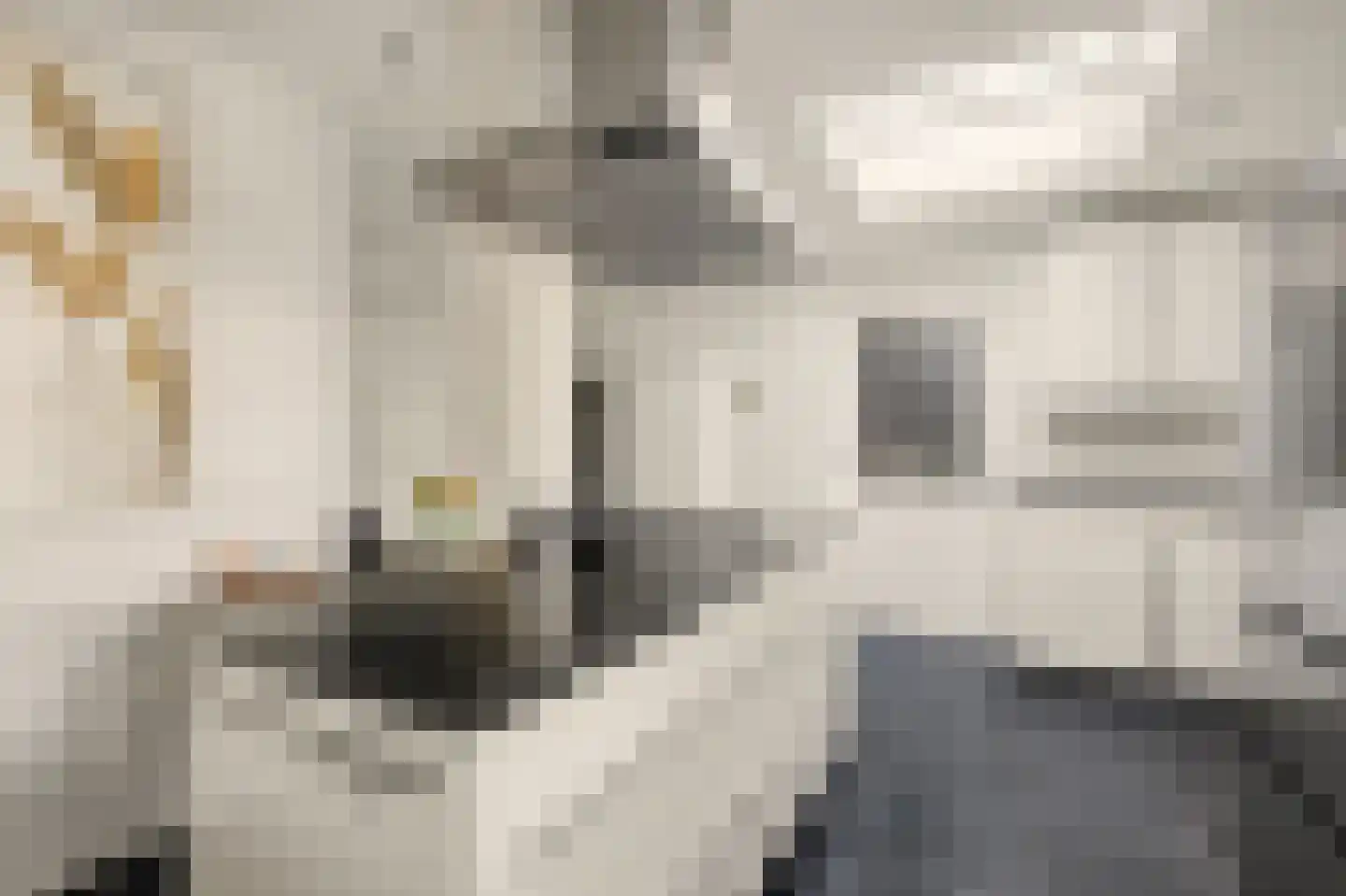 de Lijsterbes 47 Didam thumbnail 17