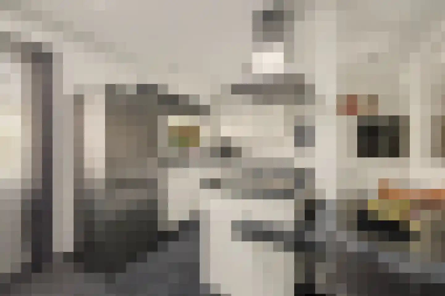 de Lijsterbes 47 Didam thumbnail 19
