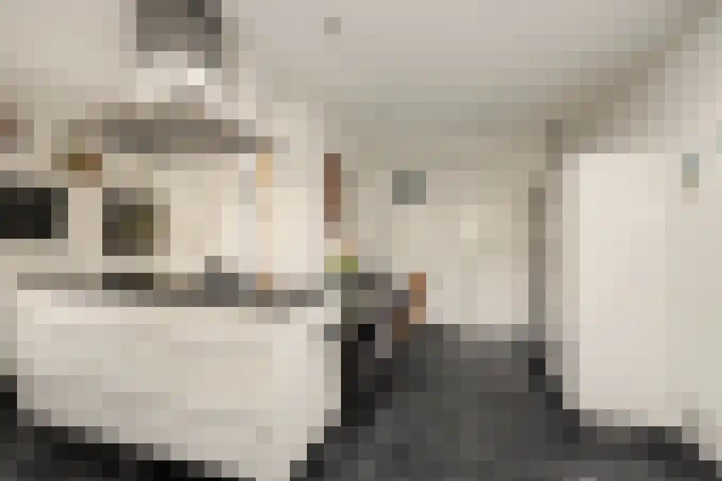 de Lijsterbes 47 Didam thumbnail 20
