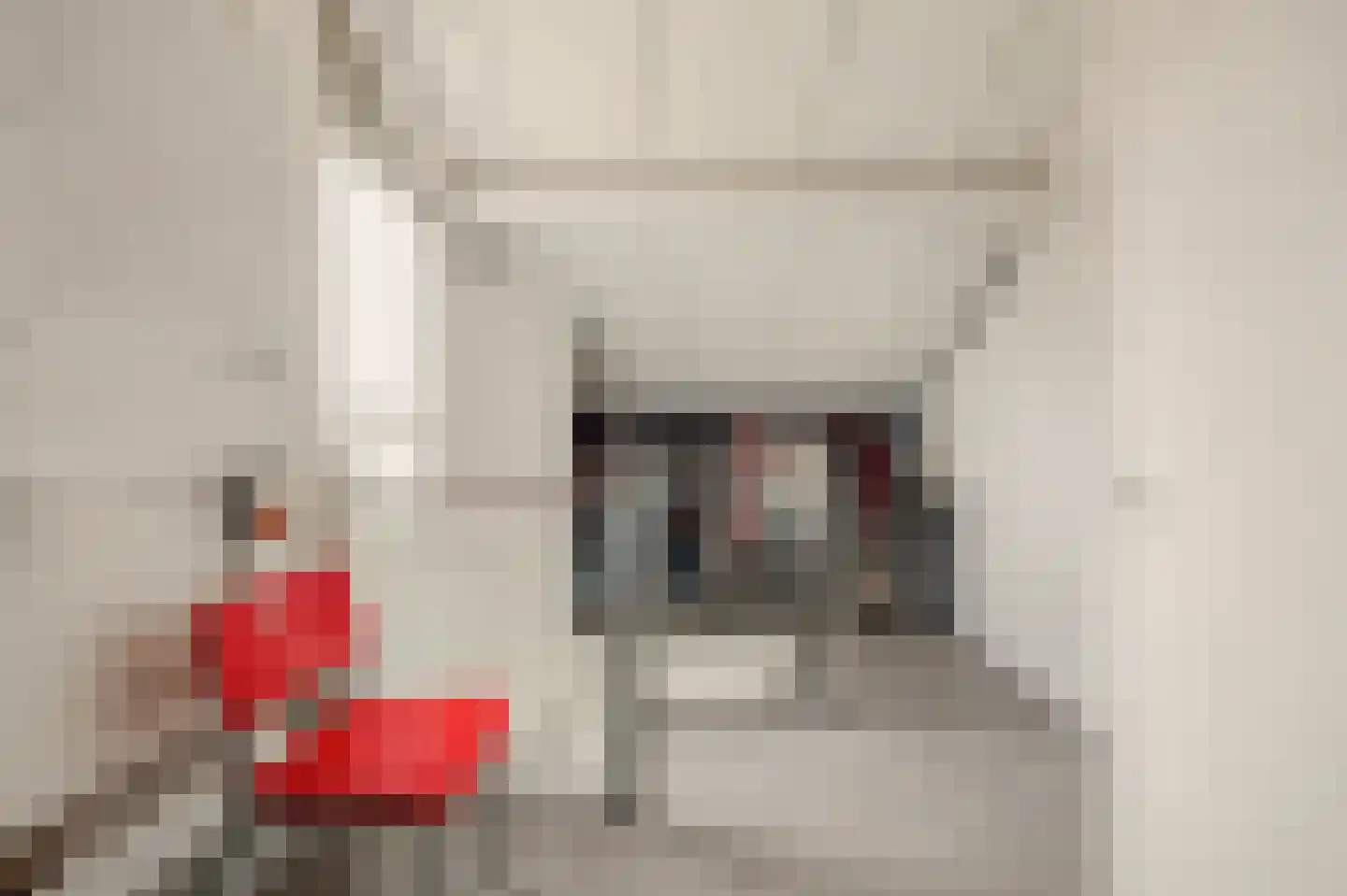 de Lijsterbes 47 Didam thumbnail 24