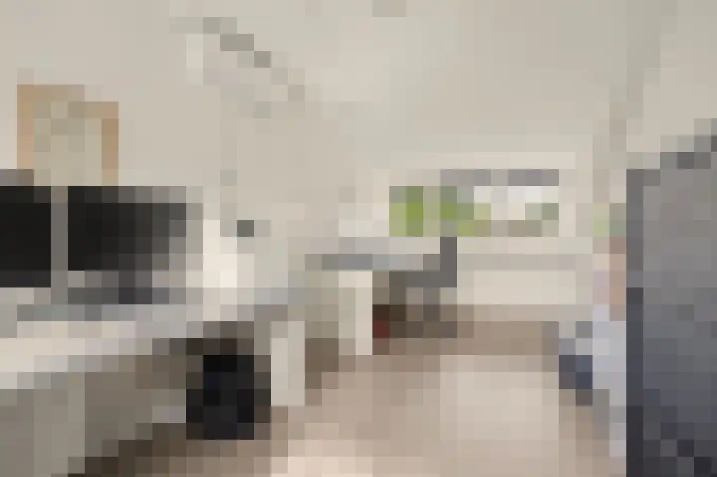 de Lijsterbes 47 Didam thumbnail 26