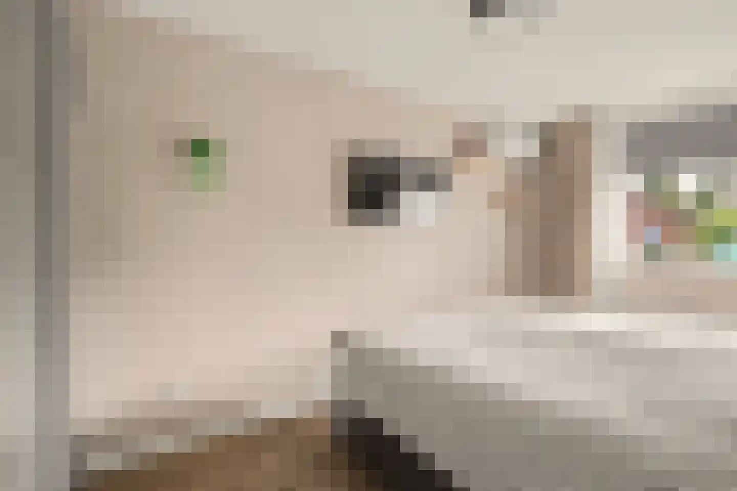 de Lijsterbes 47 Didam thumbnail 27