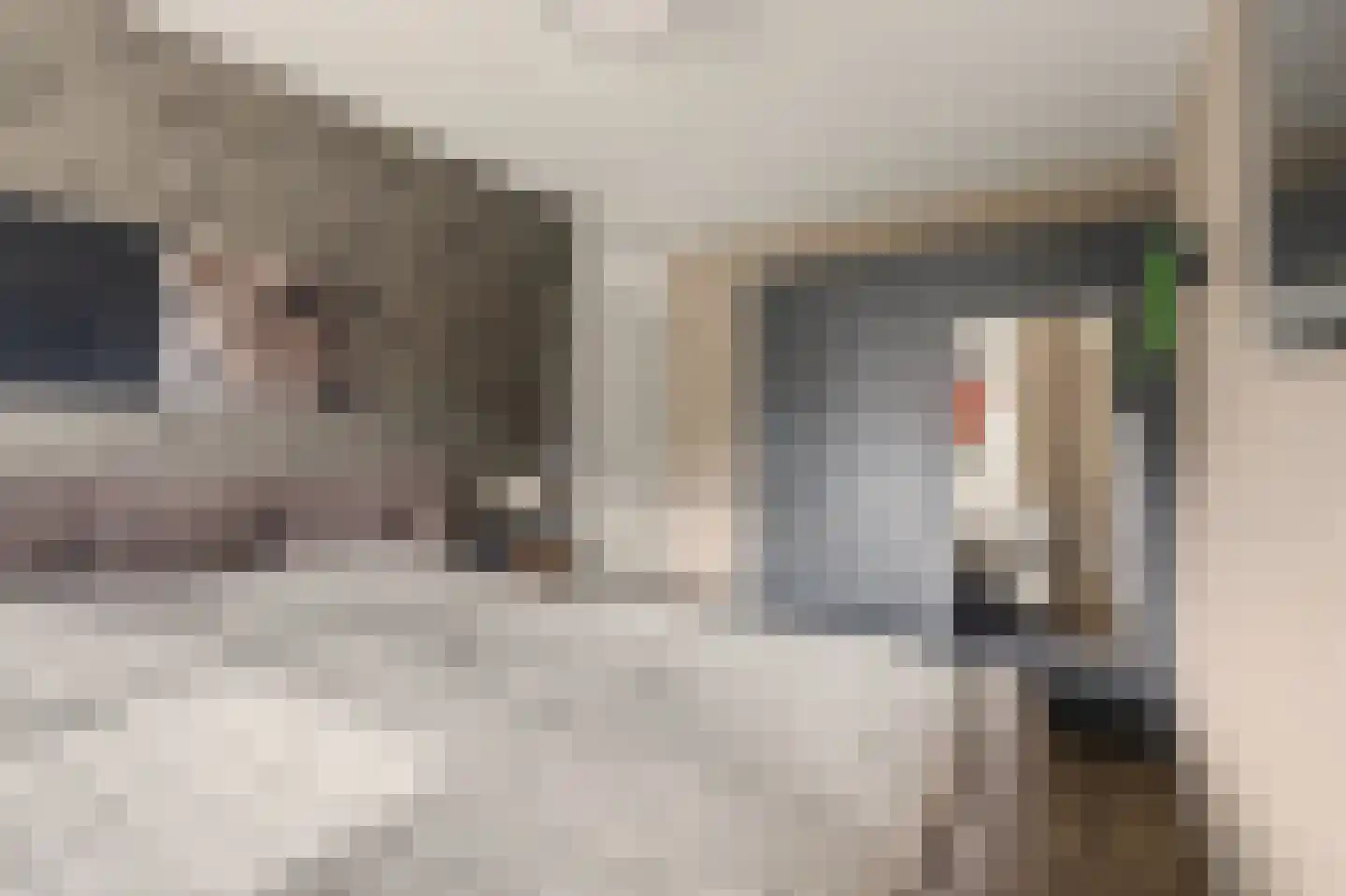 de Lijsterbes 47 Didam thumbnail 28
