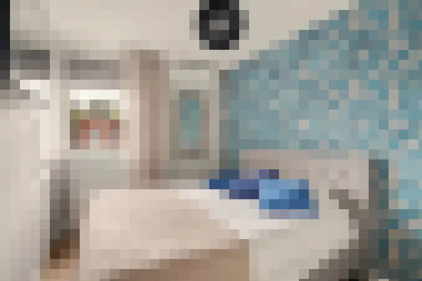 de Lijsterbes 47 Didam thumbnail 32