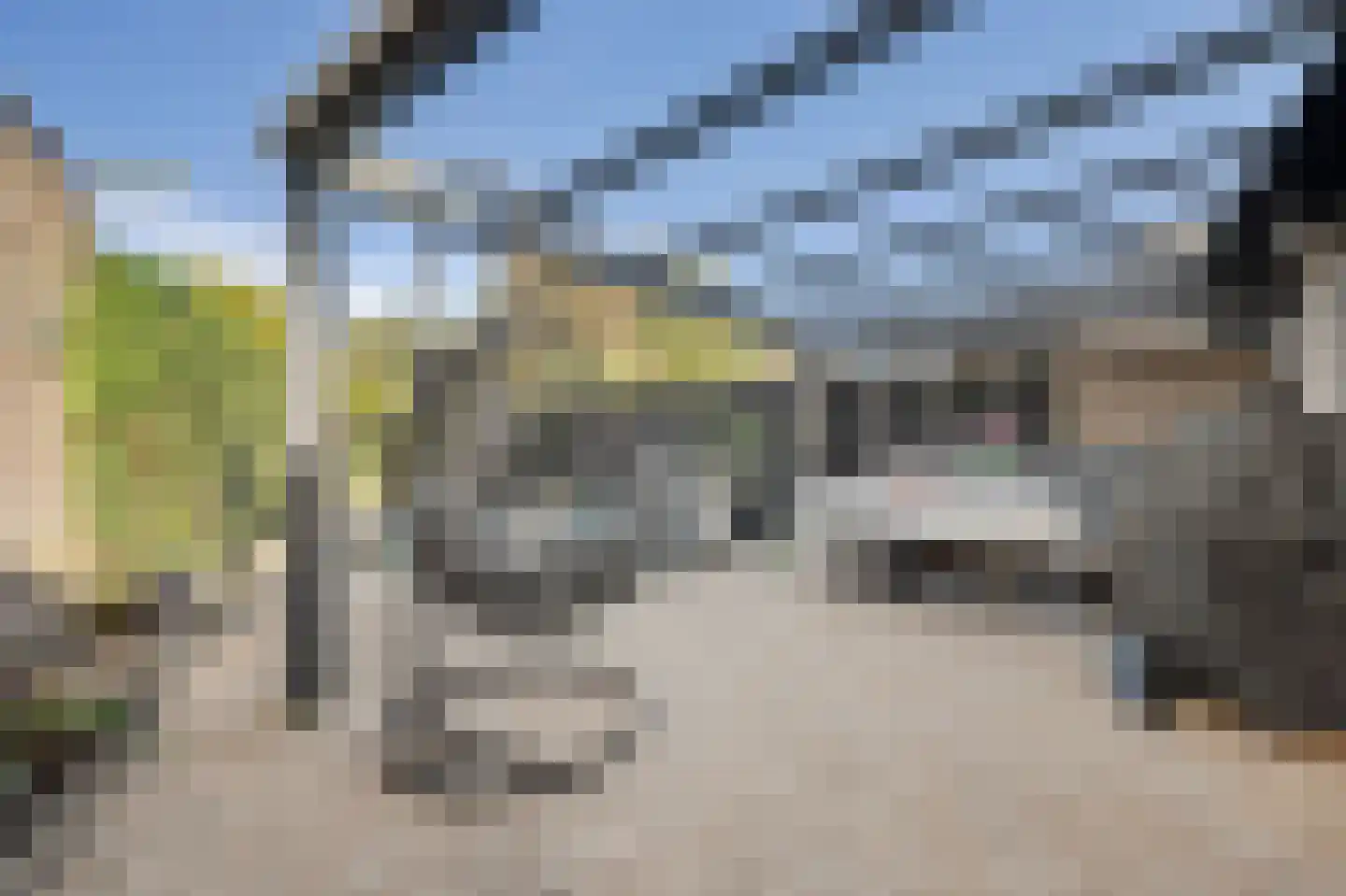 de Lijsterbes 47 Didam thumbnail 36