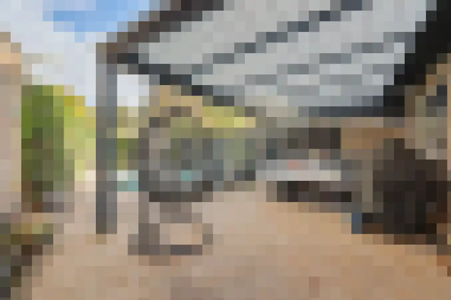 de Lijsterbes 47 Didam thumbnail 38