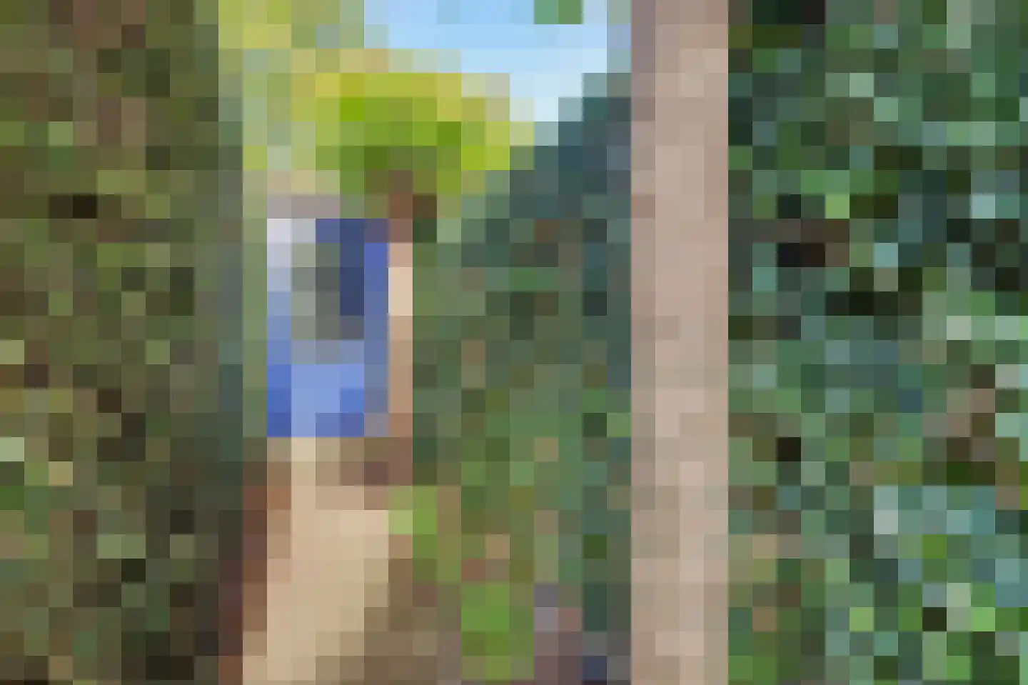 de Lijsterbes 47 Didam thumbnail 41