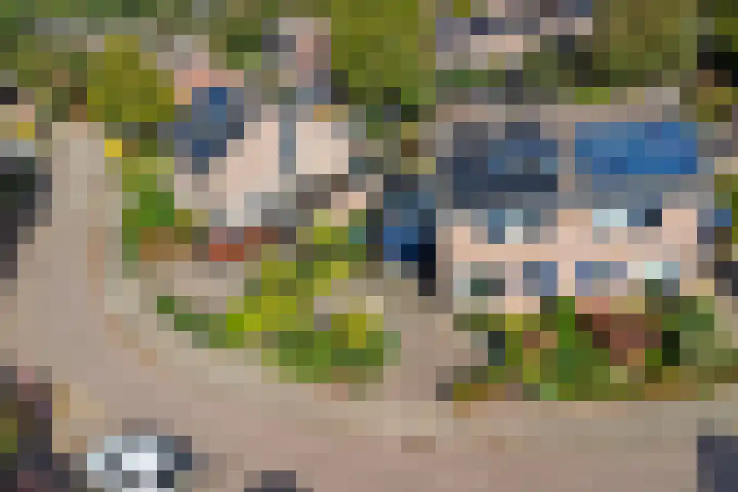 de Lijsterbes 47 Didam thumbnail 45