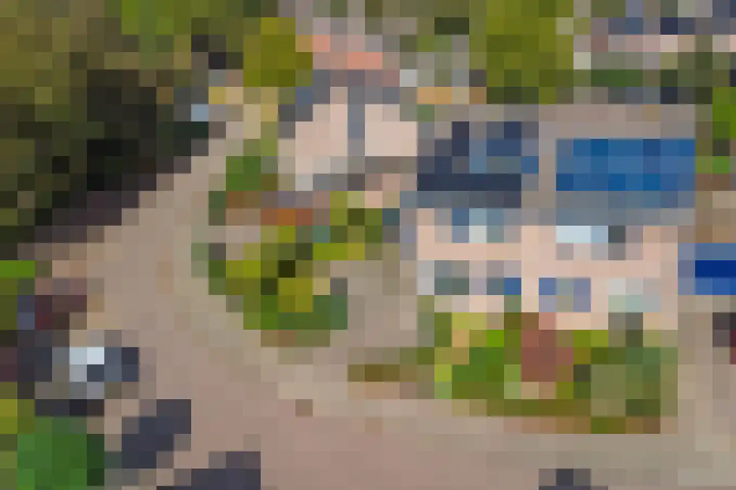de Lijsterbes 47 Didam thumbnail 46