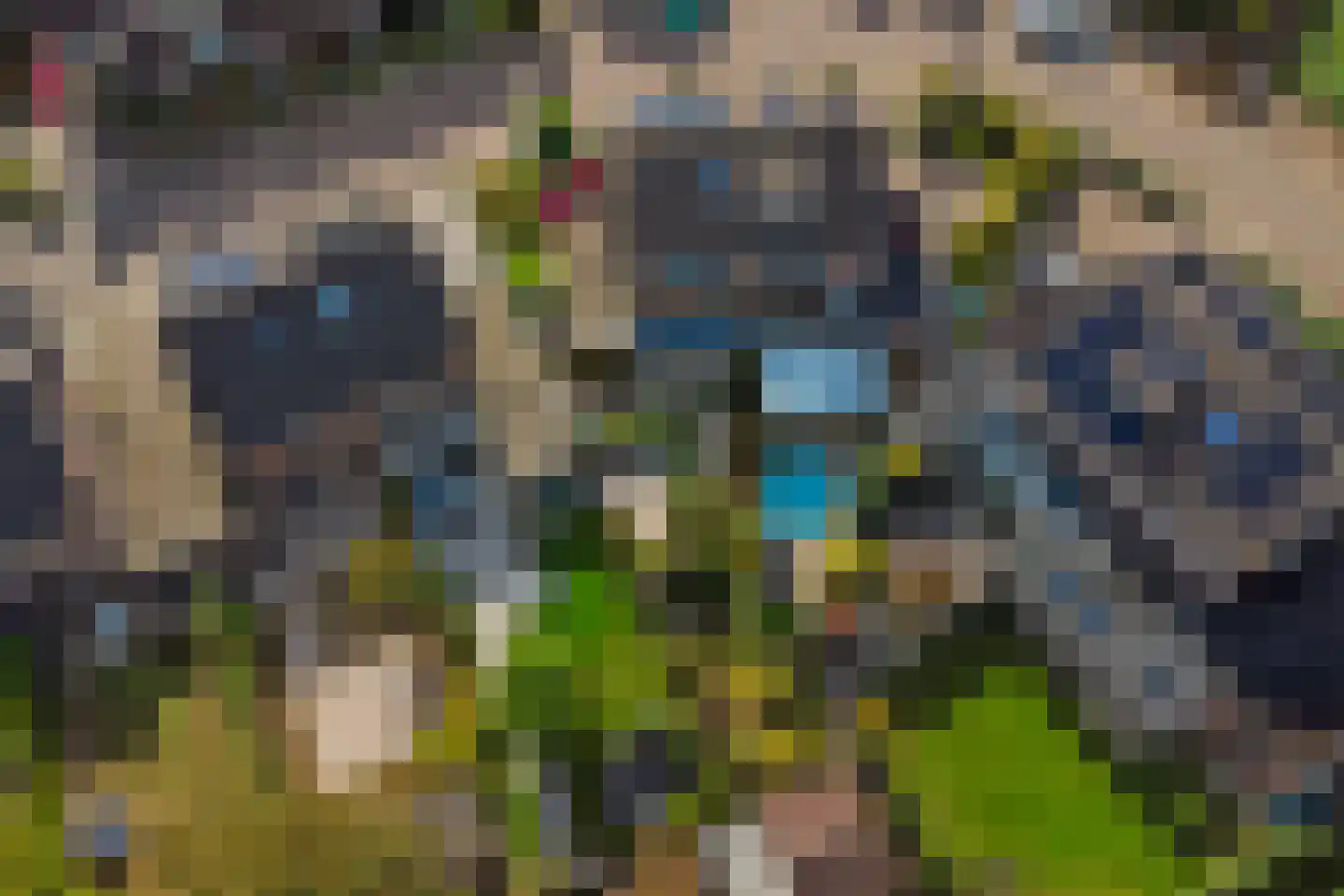 de Lijsterbes 47 Didam thumbnail 49