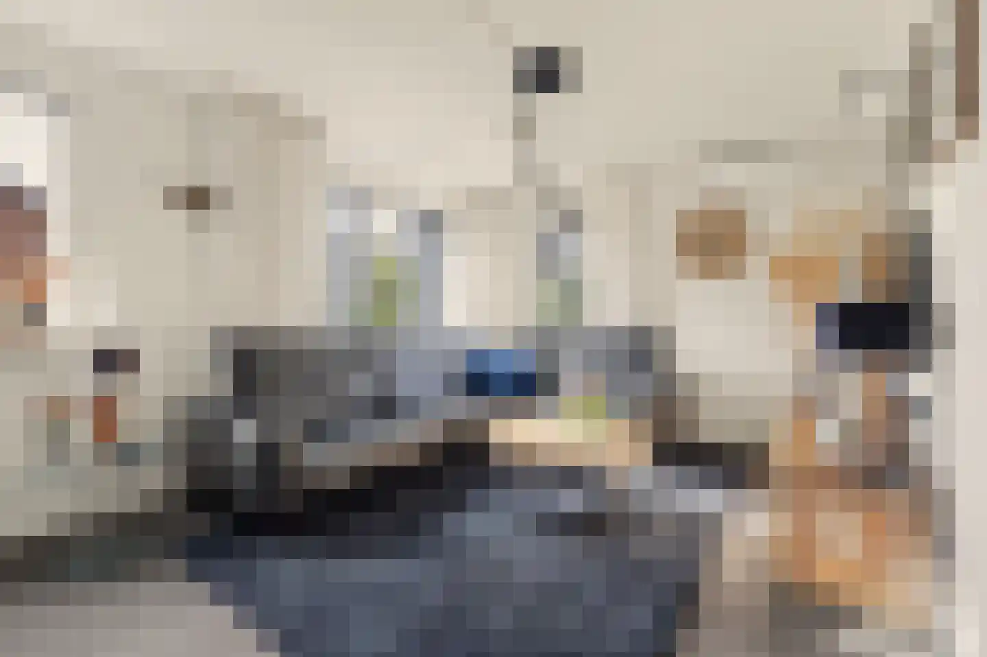 de Lijsterbes 47 Didam thumbnail 5