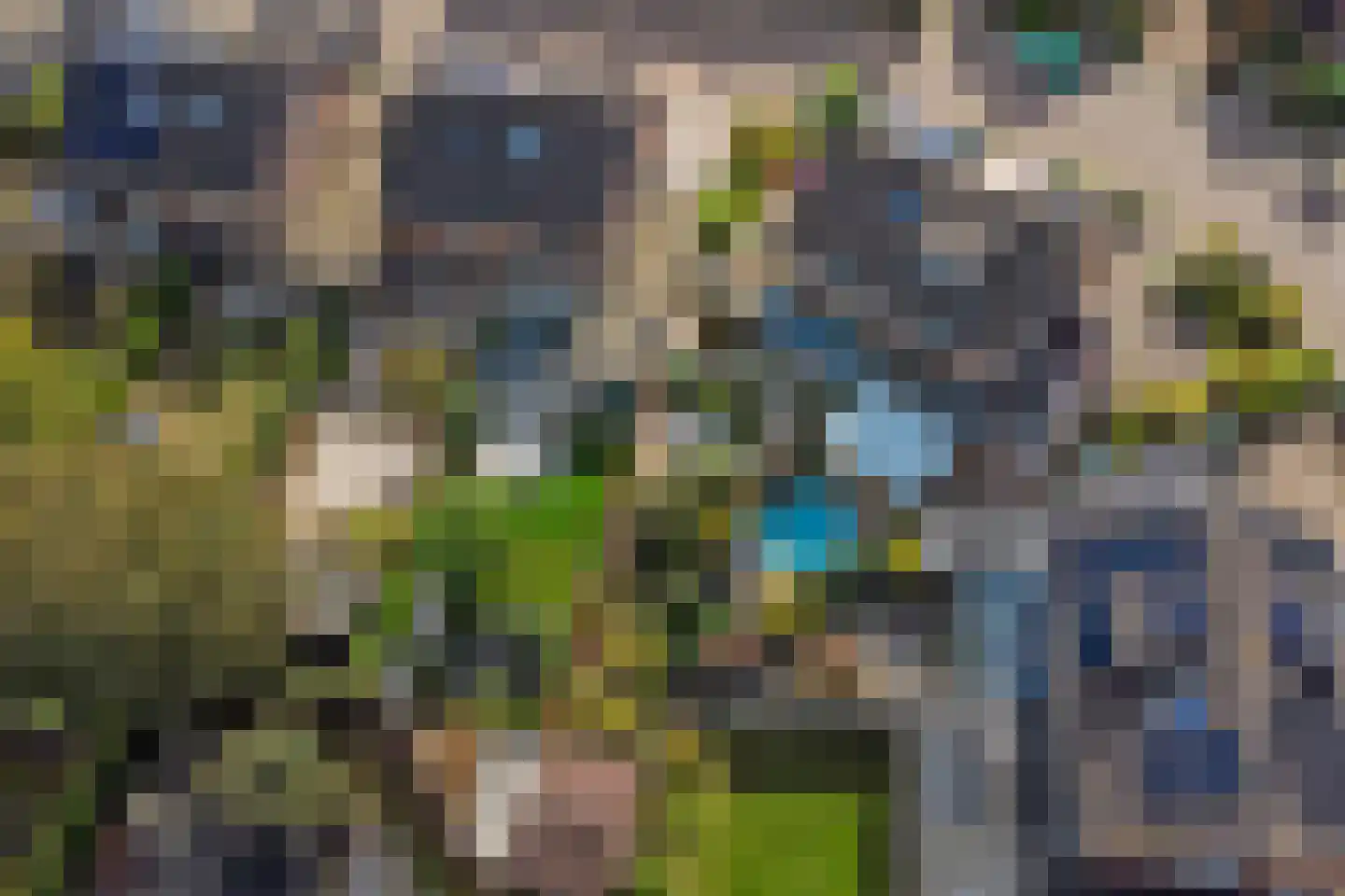 de Lijsterbes 47 Didam thumbnail 50