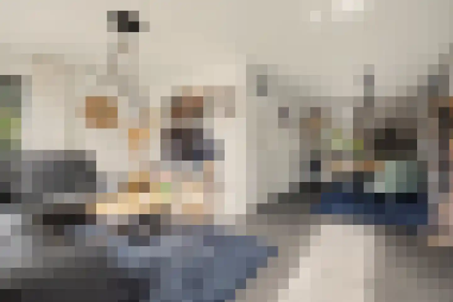 de Lijsterbes 47 Didam thumbnail 6