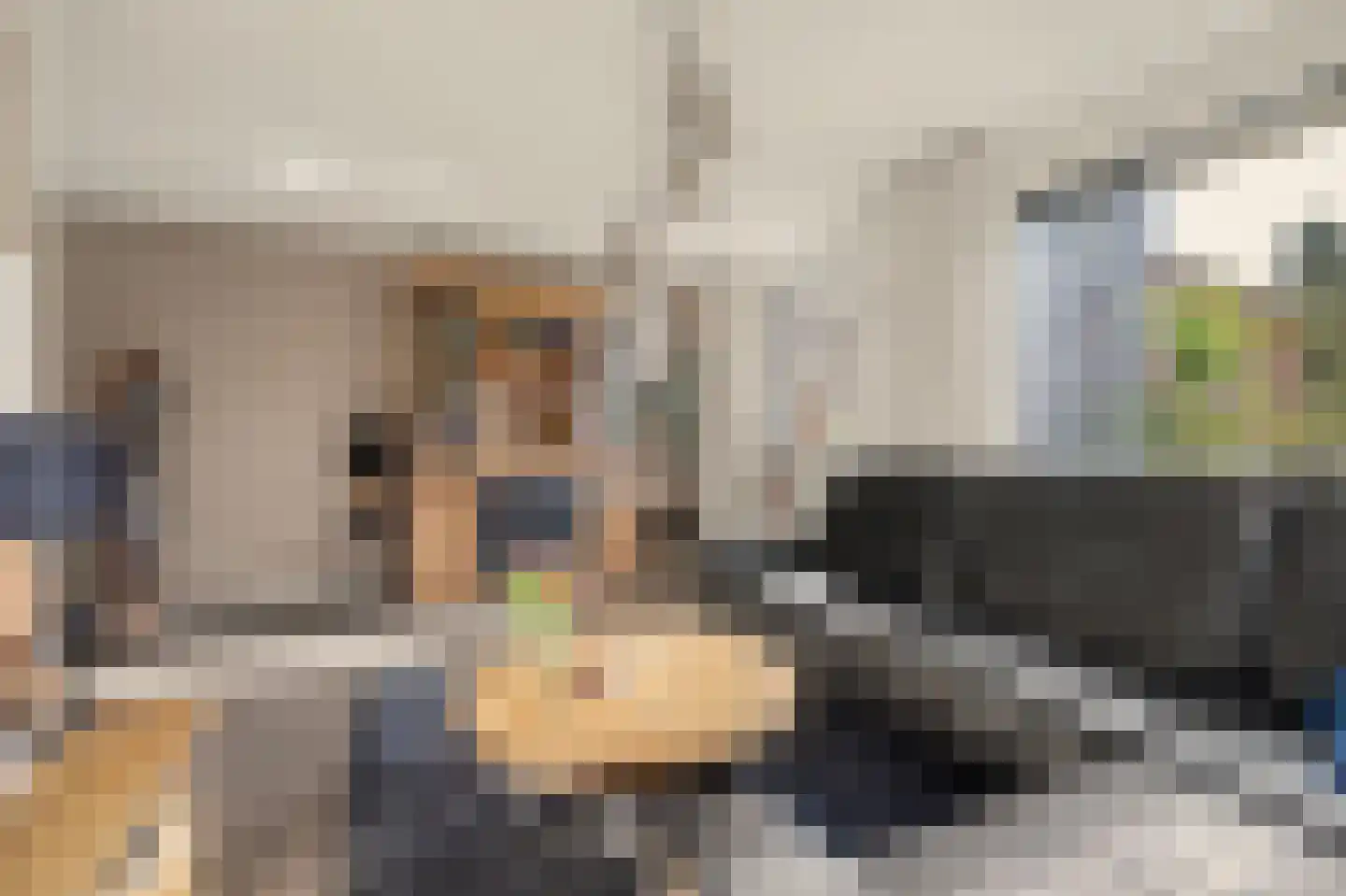 de Lijsterbes 47 Didam thumbnail 7