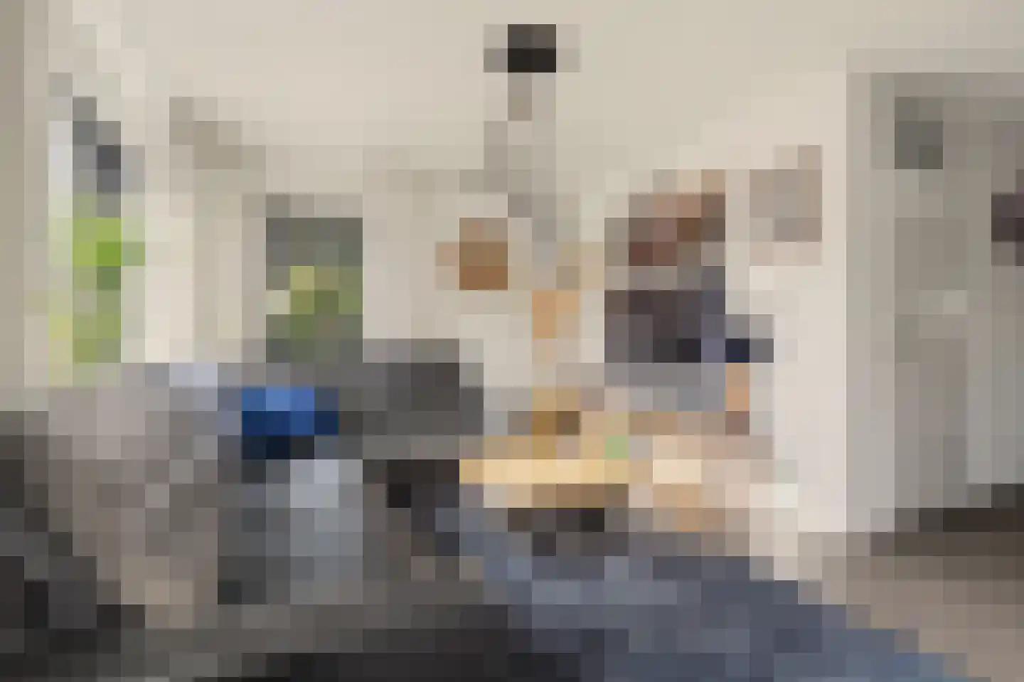 de Lijsterbes 47 Didam thumbnail 9