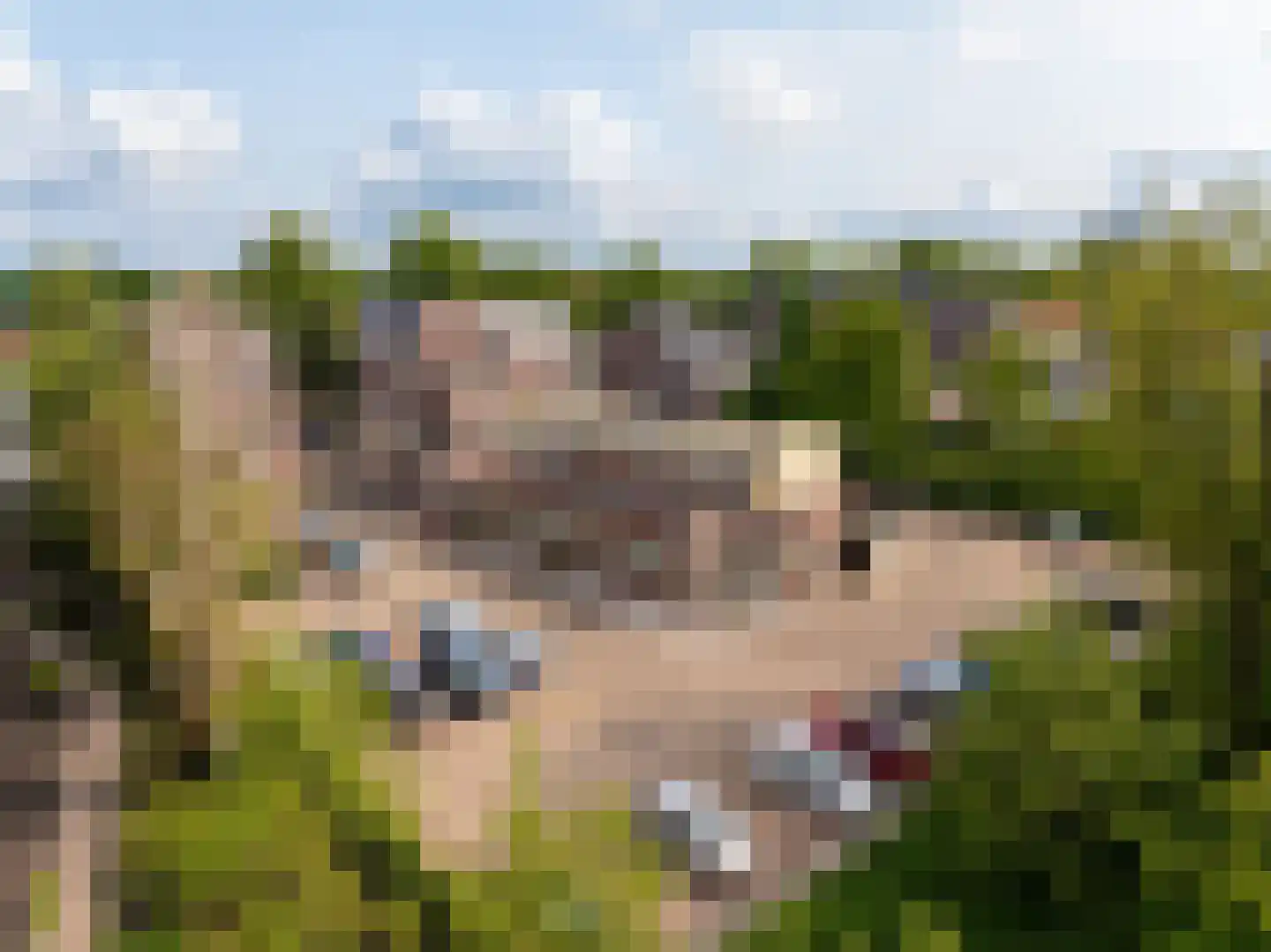 De Lind 20 A Oisterwijk thumbnail 14