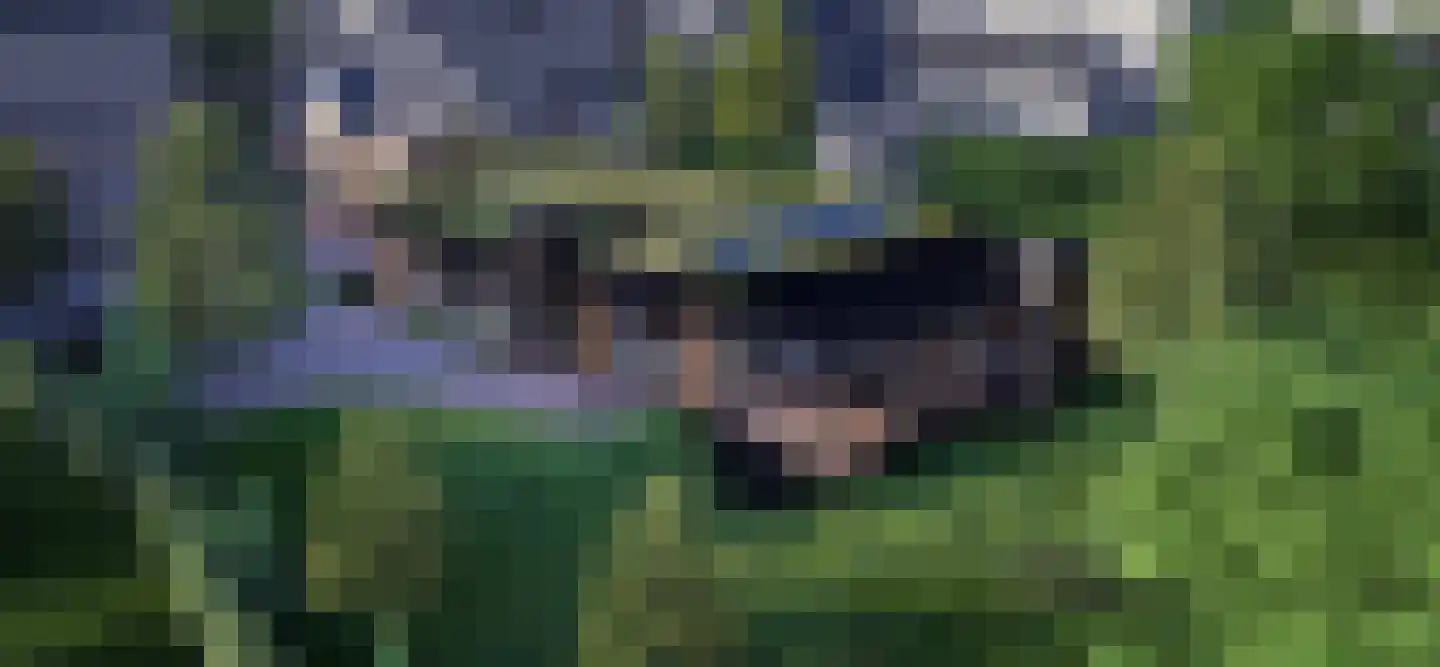 De Lind 20 A Oisterwijk thumbnail 4