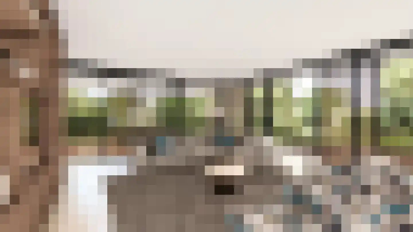 De Lind 20 A Oisterwijk thumbnail 5