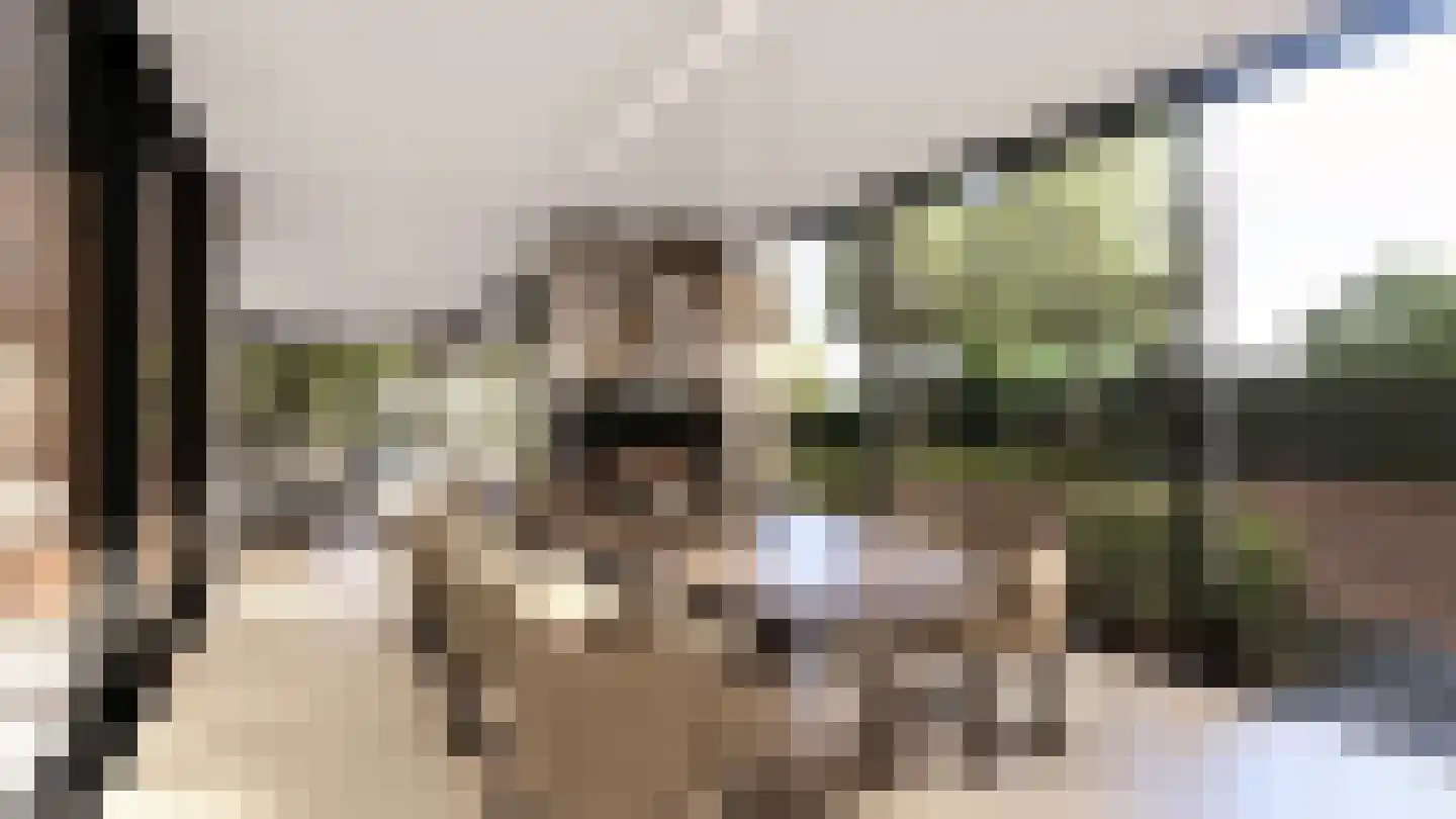 De Lind 20 A Oisterwijk thumbnail 8