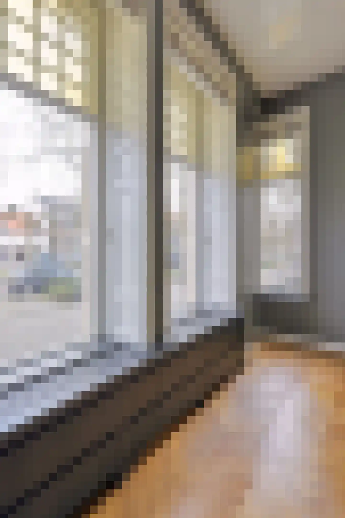 De Lind 20 Oisterwijk thumbnail 8