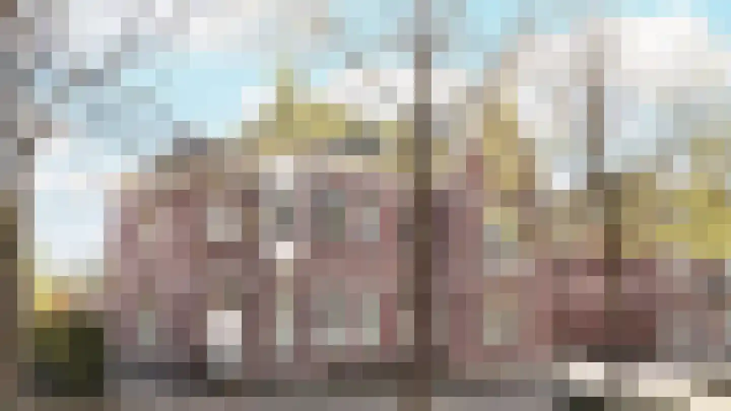 De Lind 22 Oisterwijk thumbnail 15