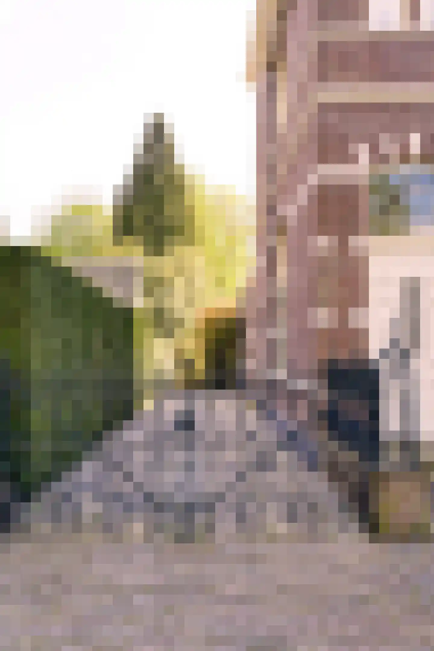 De Lind 22 Oisterwijk thumbnail 9