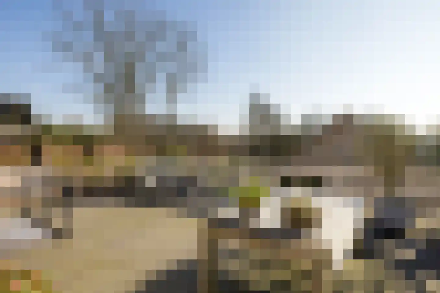 De Lind 8 Oisterwijk thumbnail 10