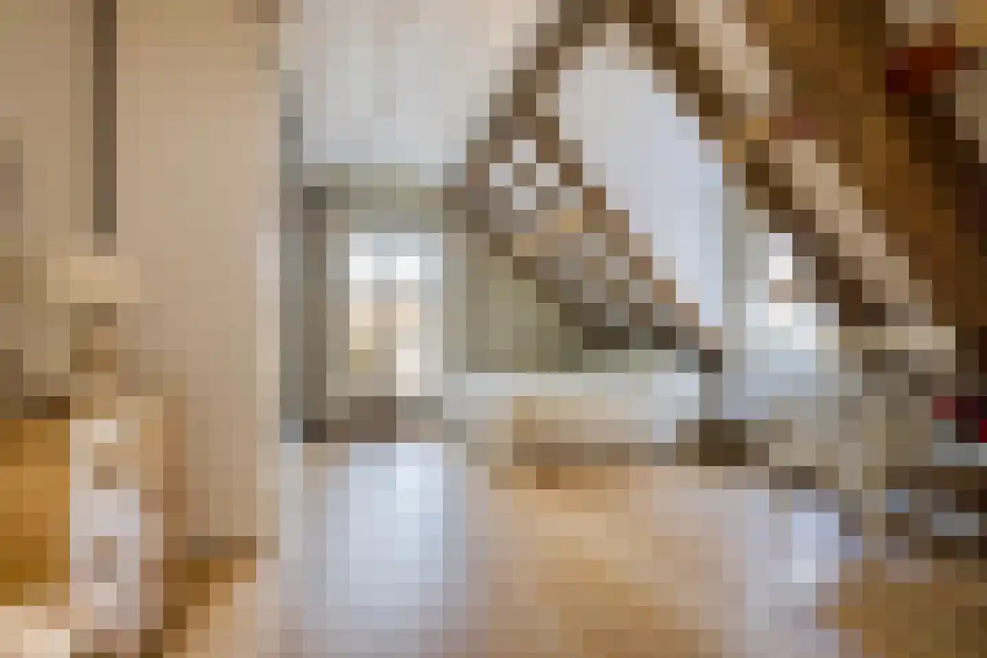 De Lind 8 Oisterwijk thumbnail 16