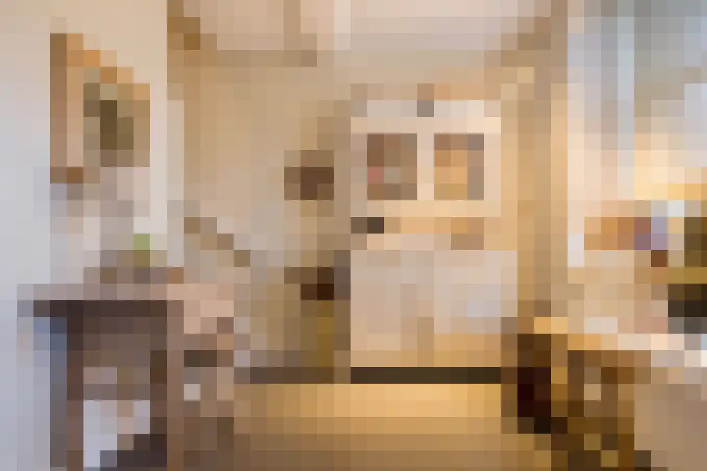 De Lind 8 Oisterwijk thumbnail 4