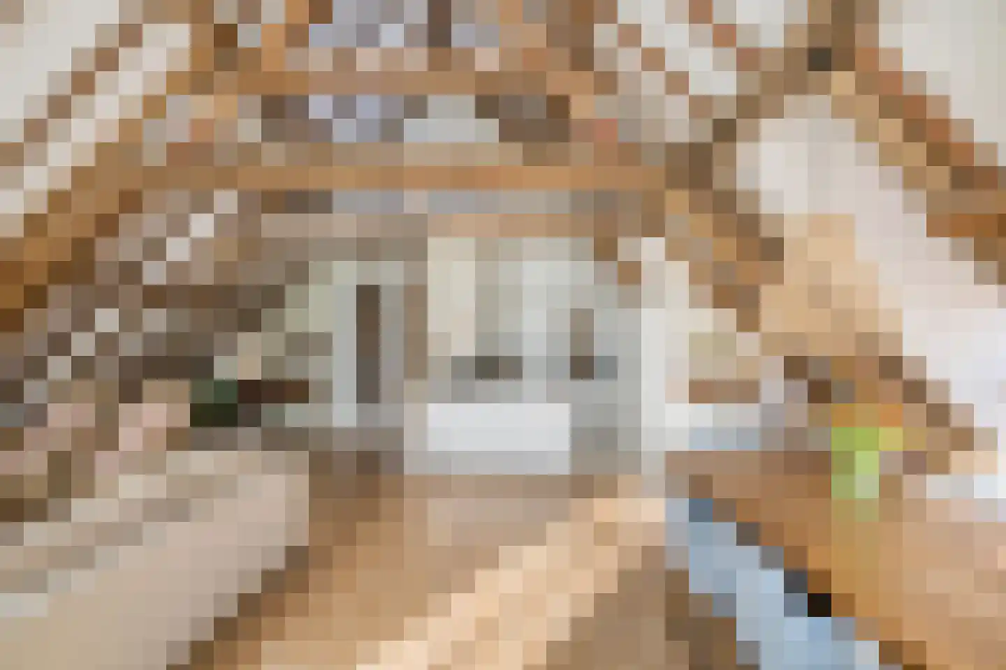 De Lind 8 Oisterwijk thumbnail 6