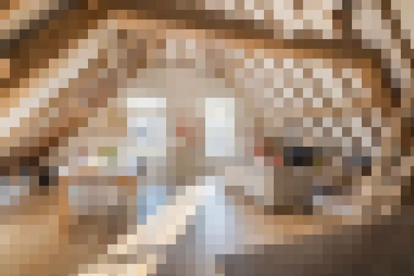 De Lind 8 Oisterwijk thumbnail 8