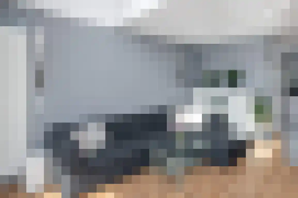 de Linde 11 Hellevoetsluis thumbnail 19