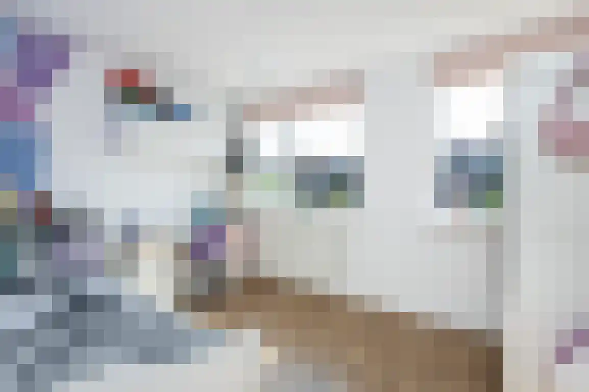 de Linde 11 Hellevoetsluis thumbnail 28