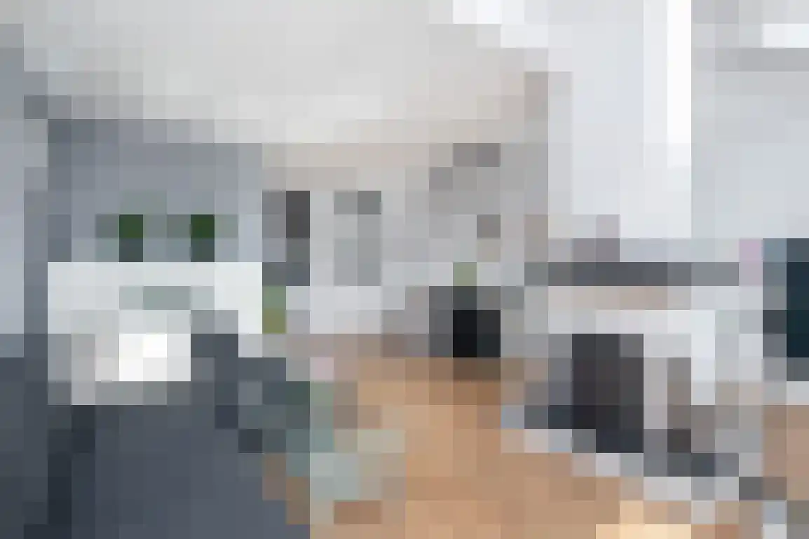 de Linde 11 Hellevoetsluis thumbnail 4