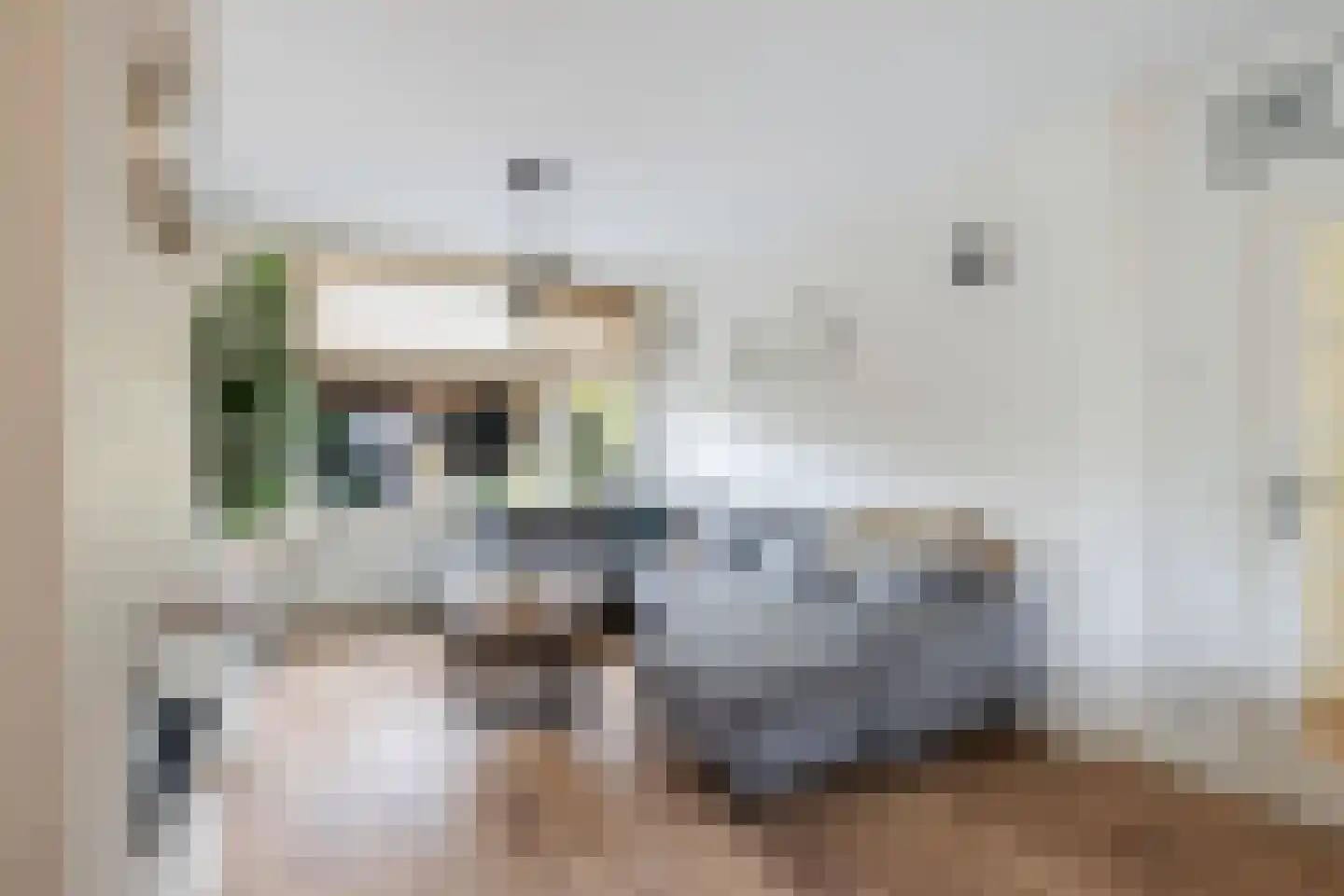 De Linde 12 Ouderkerk aan den IJssel thumbnail 14
