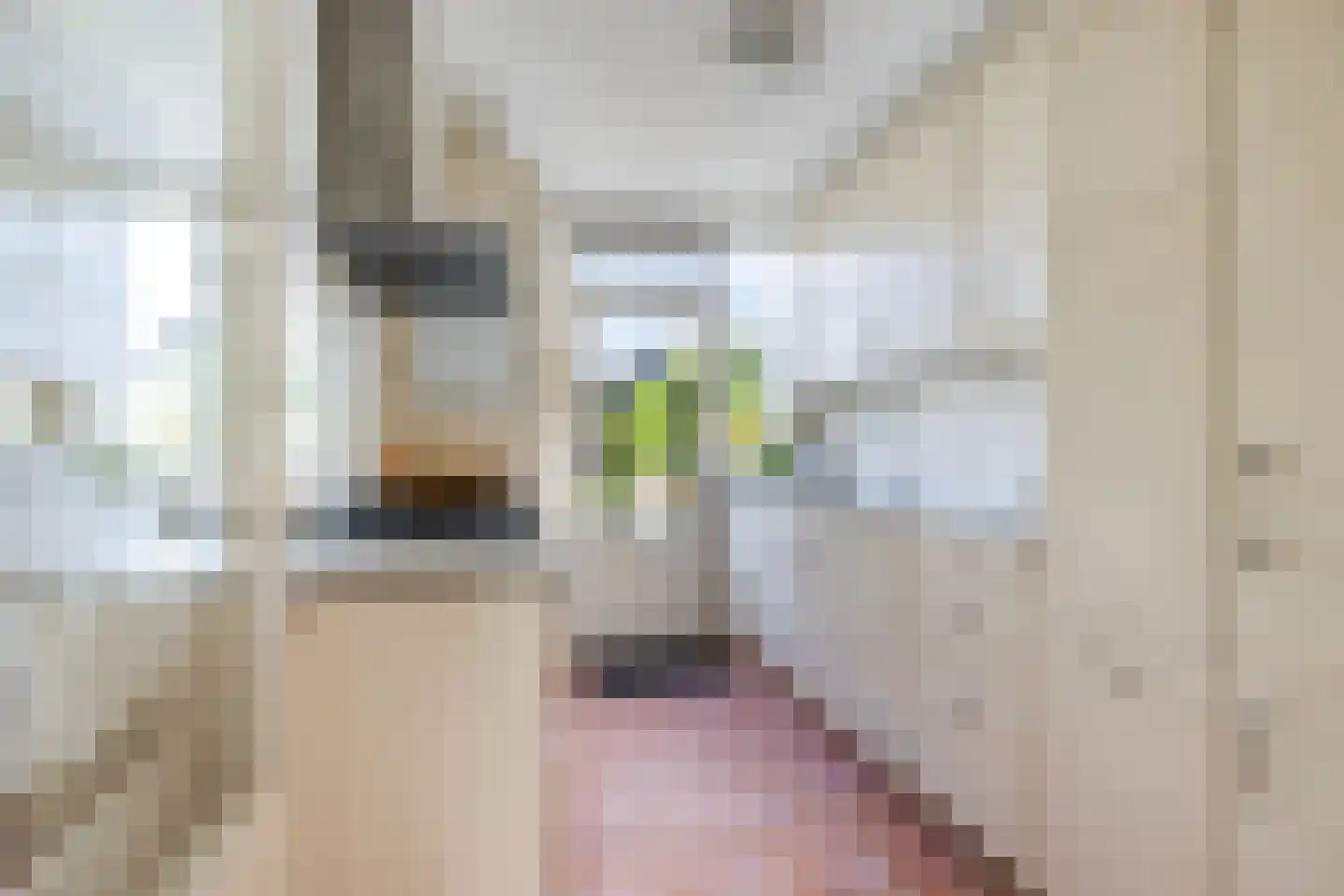 De Linde 12 Ouderkerk aan den IJssel thumbnail 15