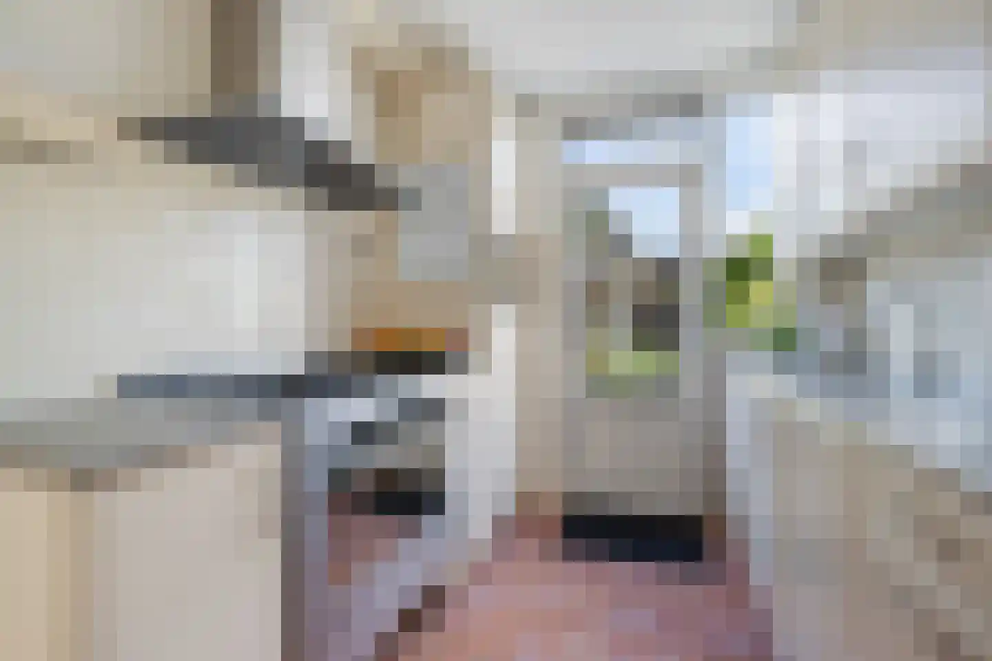 De Linde 12 Ouderkerk aan den IJssel thumbnail 16