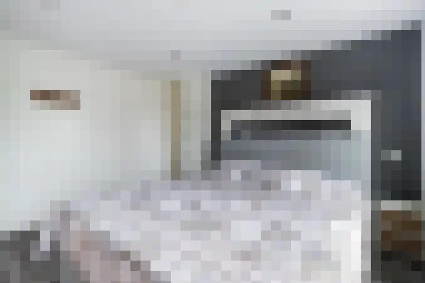 De Linde 12 Ouderkerk aan den IJssel thumbnail 26